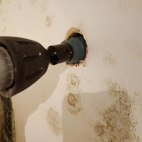 Black Mould Investigation & Removal - Image 2