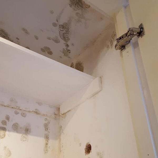 Black Mould Investigation & Removal - Image 4