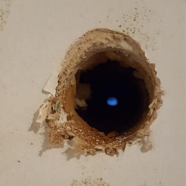 Black Mould Investigation & Removal - Image 3